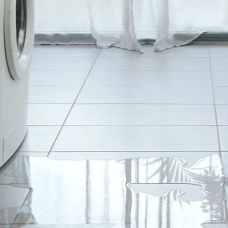 Appliance Leak Cleanup in Mission, TX
