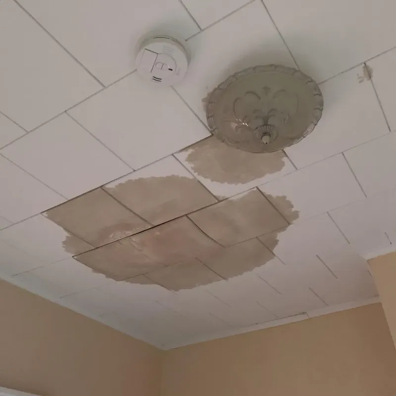 Ceiling Water Damage Repair in Mission, TX