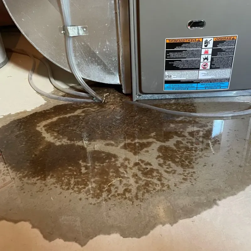 Pipe Burst and Leak Restoration in Mission, TX