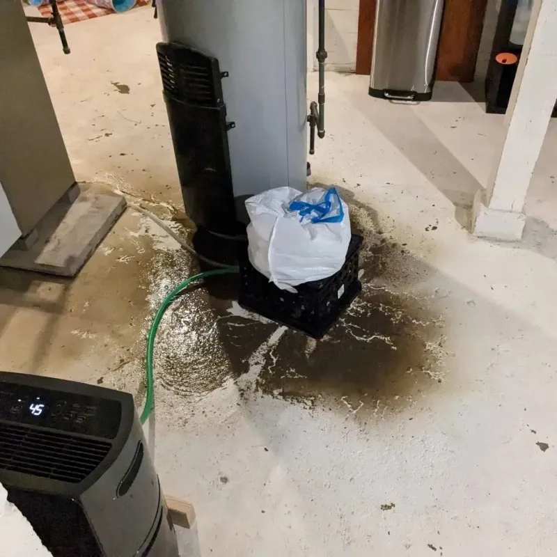 Sewage Backup Cleanup Service in Mission, TX